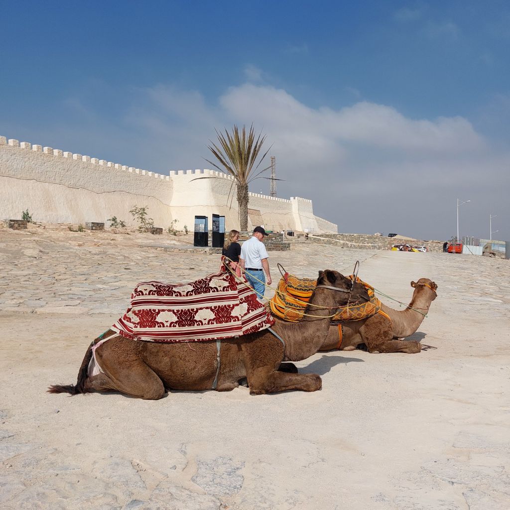 wp-17266904769489144523999971755562