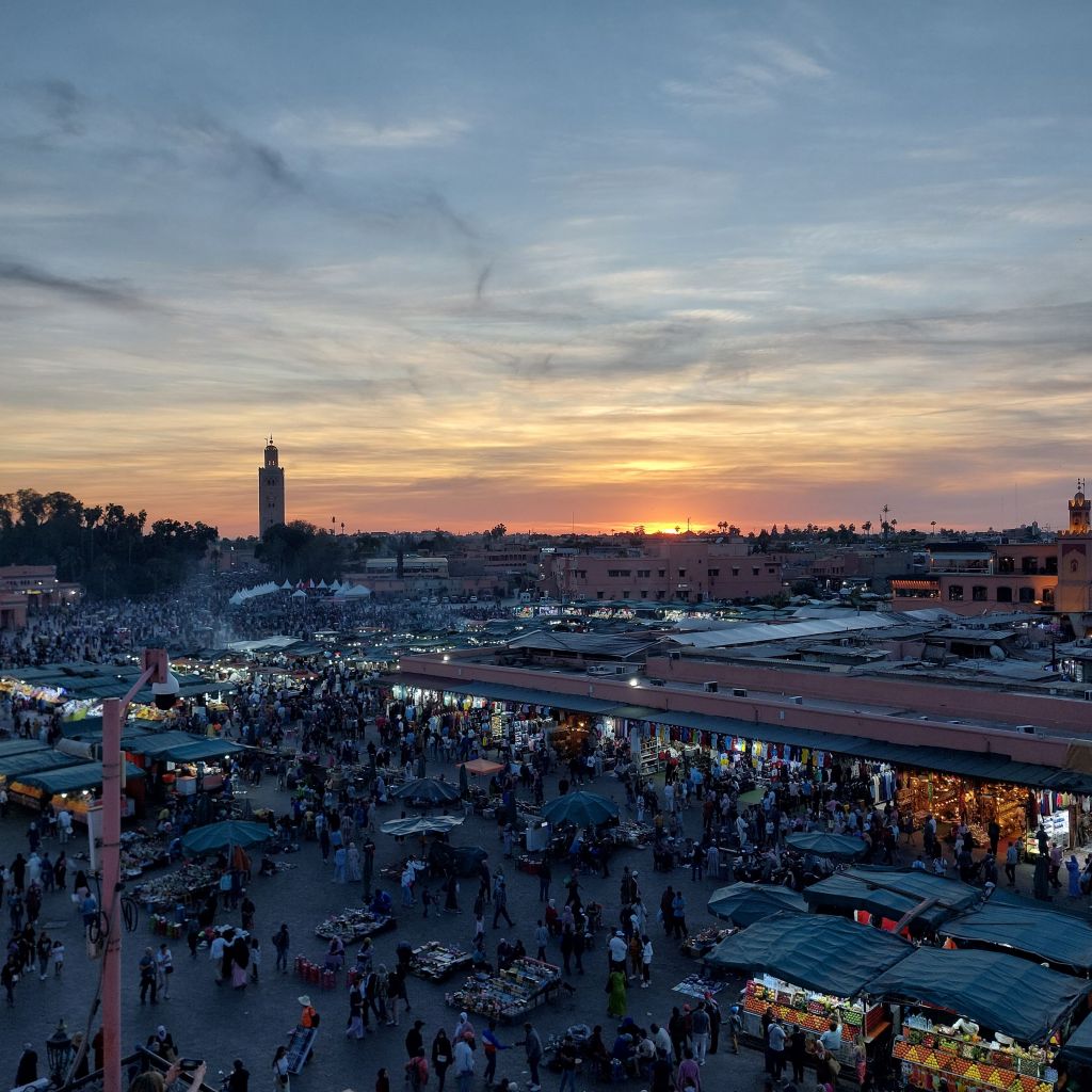 wp-1727368893796632623370503881146